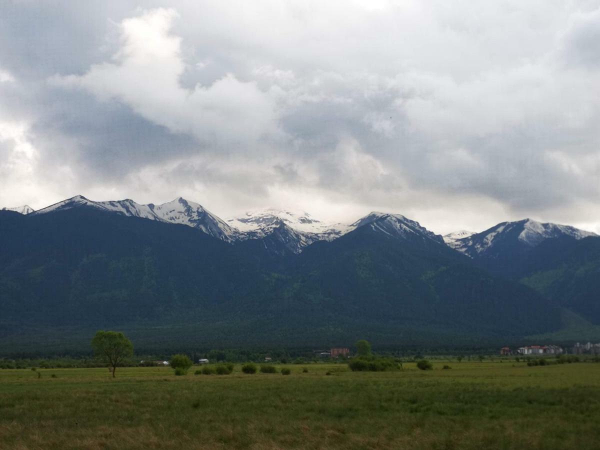 Todeva House Hotel And Tavern Bansko Esterno foto